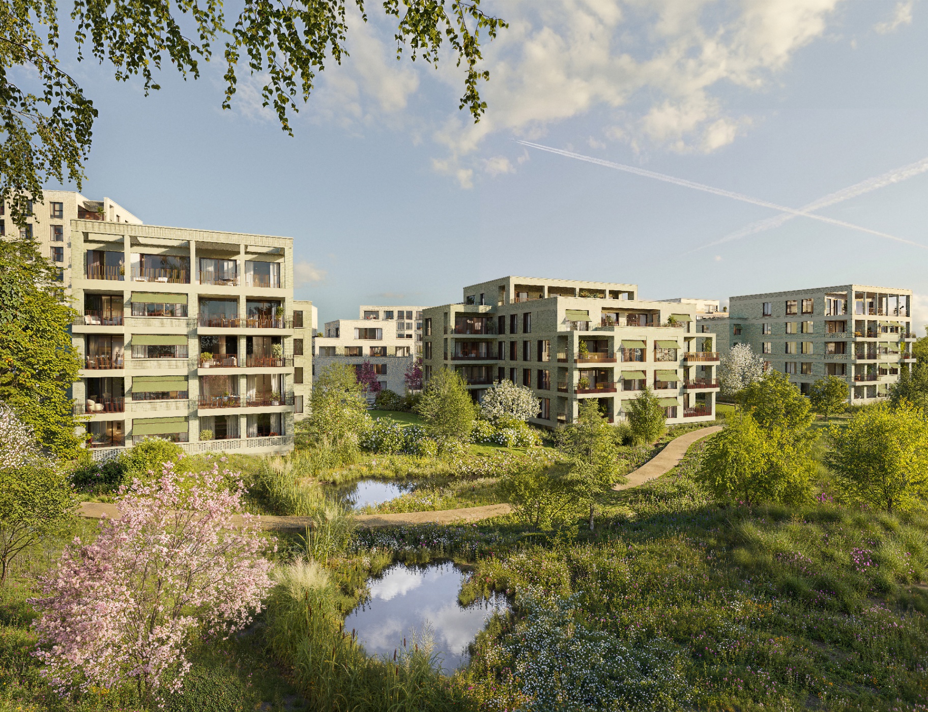 Omvangrijke waterpartijen en oevervegetatie bij The Wettlands