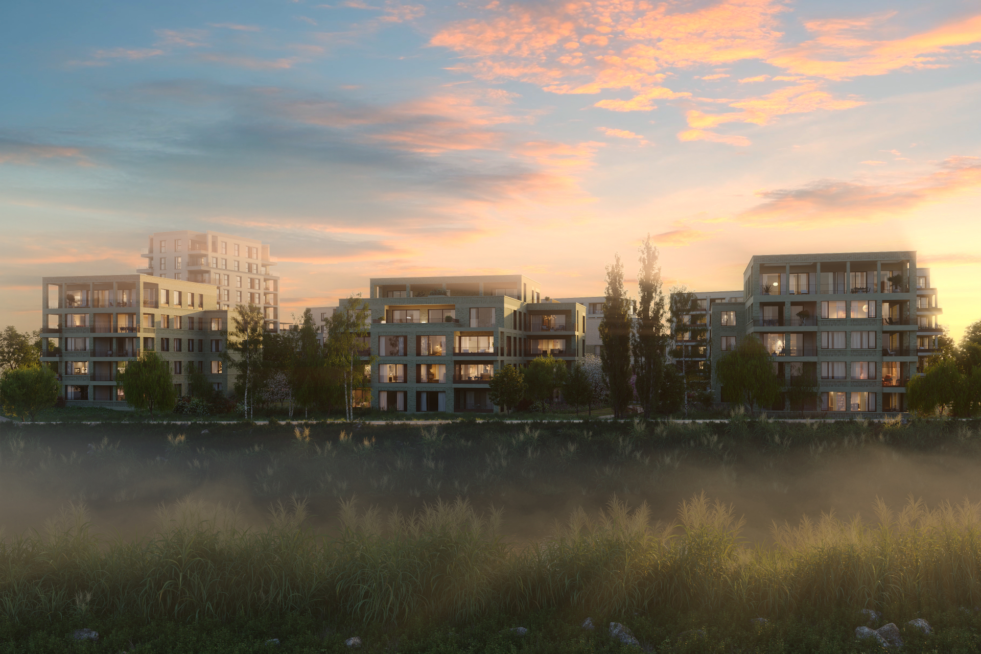 The Wettlands bij zonsondergang met mist over het water